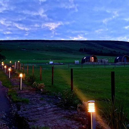 Lilly'S Lodges Orkney Hedgehog Lodge Finstown Esterno foto