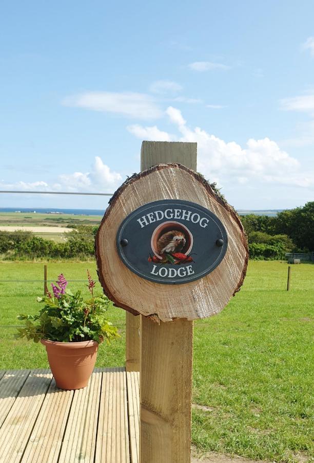 Lilly'S Lodges Orkney Hedgehog Lodge Finstown Esterno foto