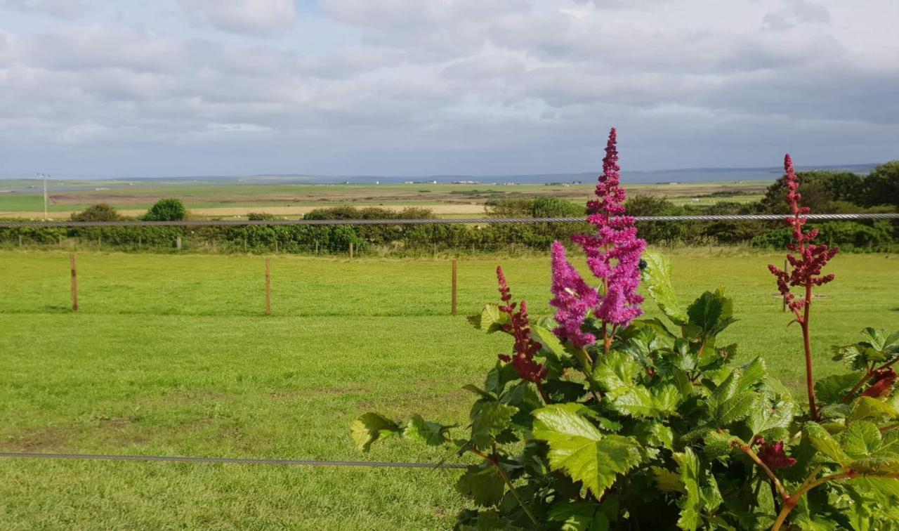 Lilly'S Lodges Orkney Hedgehog Lodge Finstown Esterno foto
