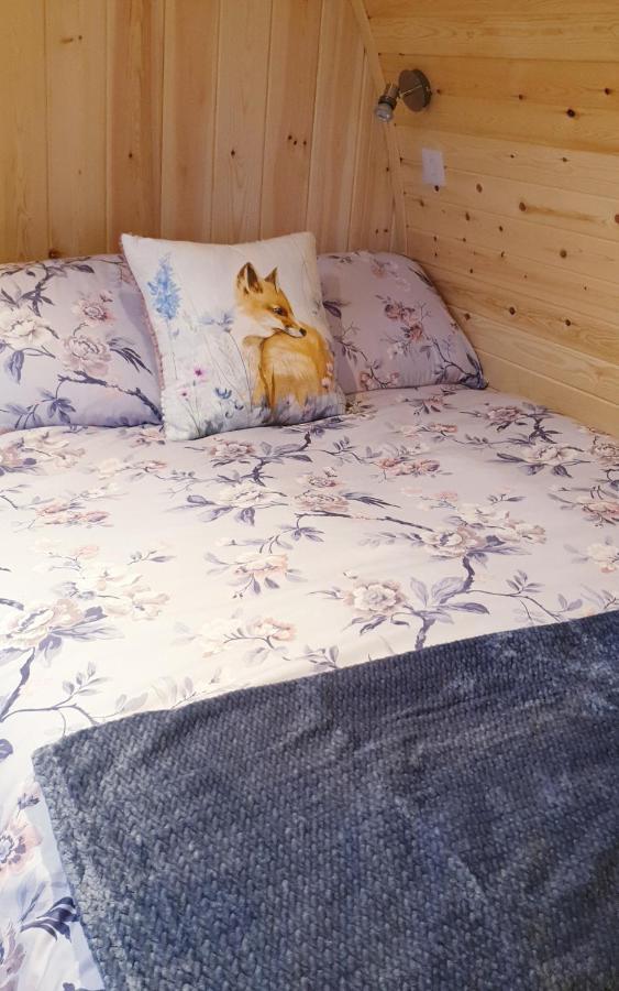 Lilly'S Lodges Orkney Hedgehog Lodge Finstown Esterno foto
